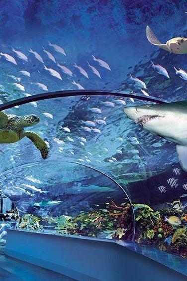Aquariums
